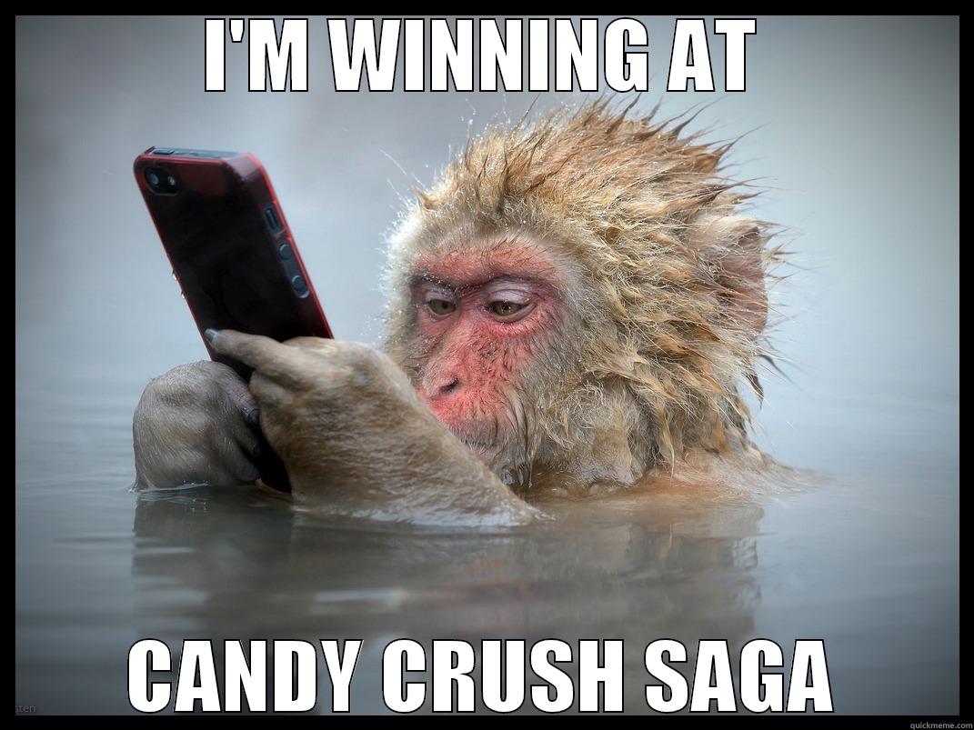 I'M WINNING AT CANDY CRUSH SAGA Misc