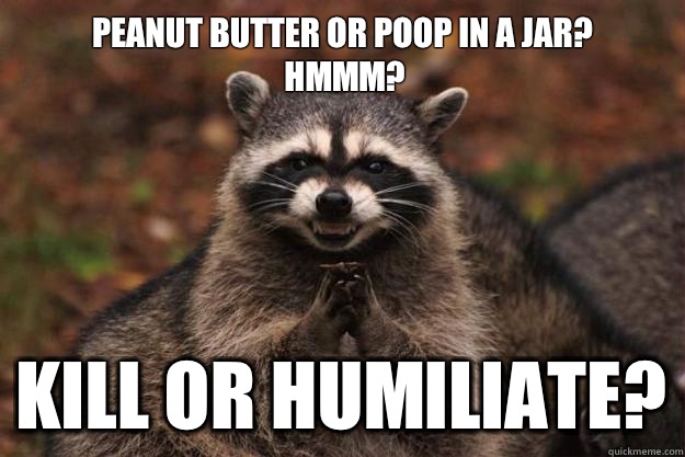 Peanut butter or poop in a jar? Hmmm? Kill or humiliate? - Peanut butter or poop in a jar? Hmmm? Kill or humiliate?  Evil Plotting Raccoon