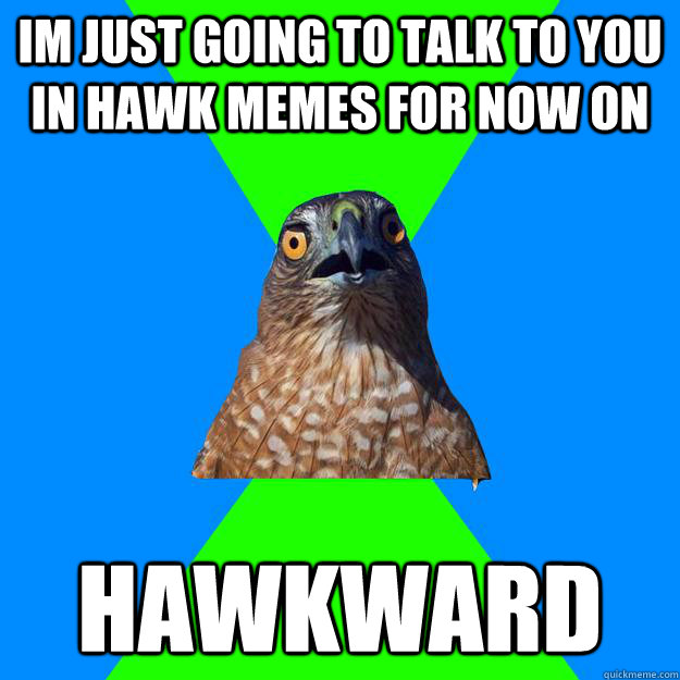 im just going to talk to you in hawk memes for now on hawkward  Hawkward