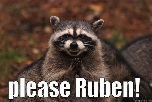  PLEASE RUBEN! Evil Plotting Raccoon