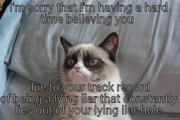 Liar Liar - I'M SORRY THAT I'M HAVING A HARD TIME BELIEVING YOU  DUE TO YOUR TRACK RECORD OF BEING A LYING LIAR THAT CONSTANTLY LIES OUT OF YOUR LYING LIAR HOLE Grumpy Cat