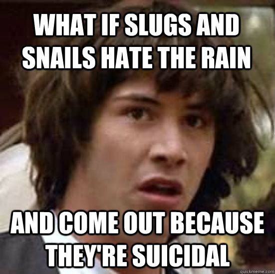 what if slugs and snails hate the rain and come out because they're suicidal   conspiracy keanu