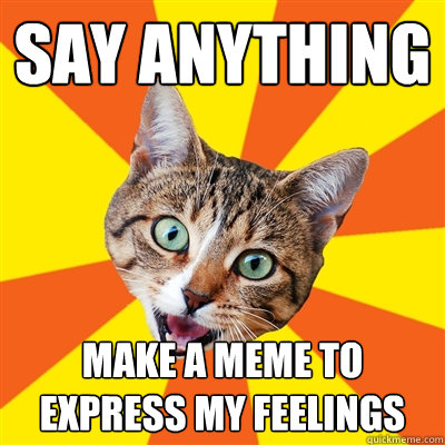 say anything make a meme to express my feelings  Bad Advice Cat