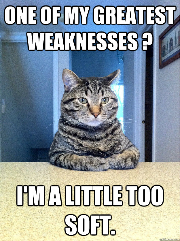 ONE OF MY GREATEST WEAKNESSES ? I'M A LITTLE TOO SOFT.  Chris Hansen Cat