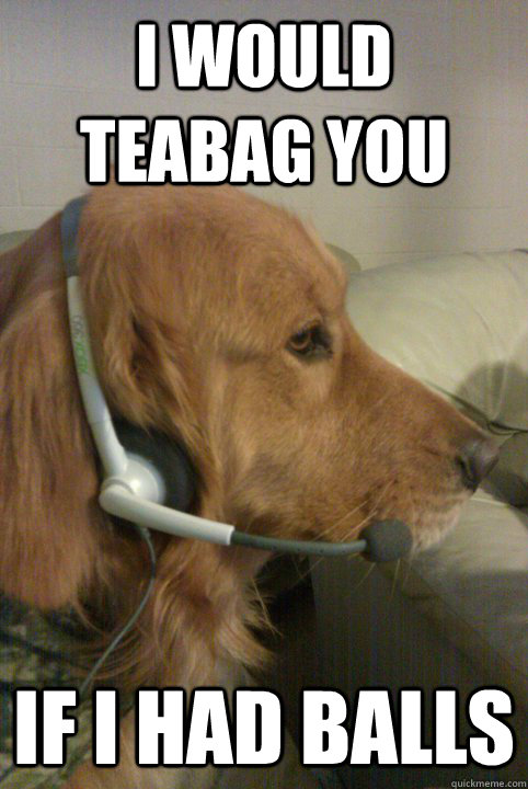 i would teabag you if i had balls - i would teabag you if i had balls  Xbox Live Dog