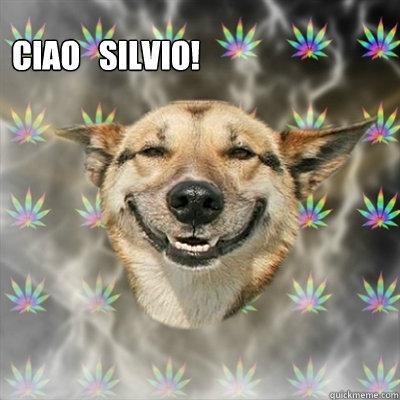 Ciao   Silvio!    Stoner Dog