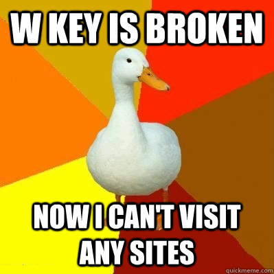 W KEY IS BROKEN NOW I CAN'T VISIT ANY SITES  Tech Impaired Duck