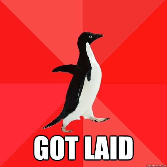  got laid  Socially Awesome Penguin