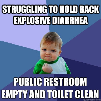 struggling to hold back explosive diarrhea  public restroom empty and toilet clean
  Success Kid