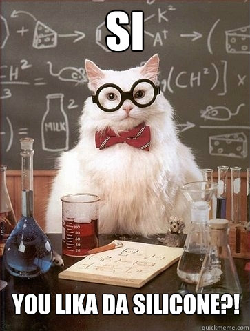 Si You lika da silicone?!  Chemistry Cat