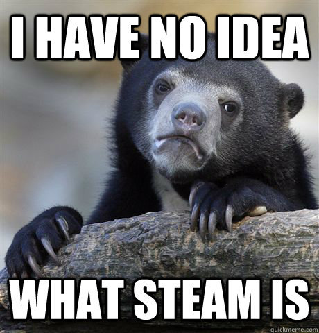 i have no idea what steam is  Confession Bear