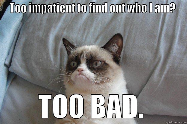 Grumpy Cat - TOO IMPATIENT TO FIND OUT WHO I AM? TOO BAD. Grumpy Cat