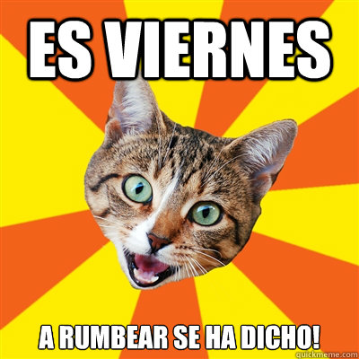 ES VIernes A rumbear se ha dicho!  Bad Advice Cat