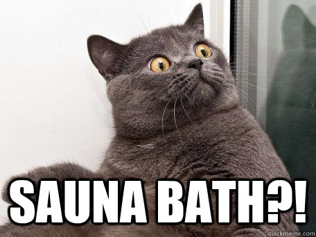  SAUNA BATH?!  conspiracy cat