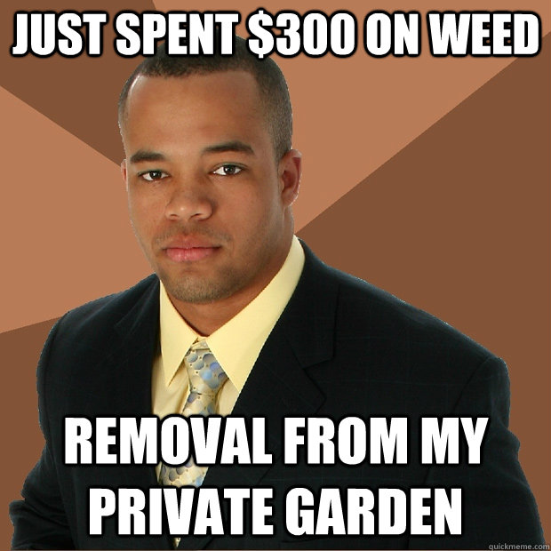 Just spent $300 on Weed Removal from my private garden  Successful Black Man