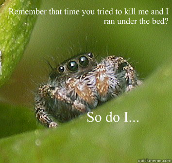 

Remember that time you tried to kill me and I ran under the bed? So do I... - 

Remember that time you tried to kill me and I ran under the bed? So do I...  Misunderstood Spider