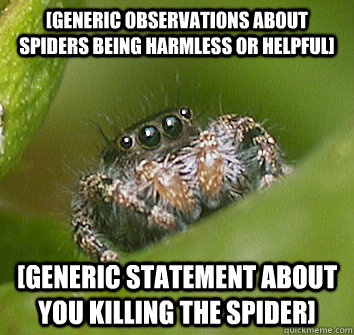 [generic observations about spiders being harmless or helpful] [generic statement about you killing the spider]  Misunderstood Spider