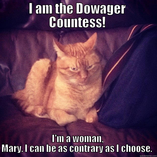 Downton Tabby - I AM THE DOWAGER COUNTESS! I'M A WOMAN, MARY. I CAN BE AS CONTRARY AS I CHOOSE.  Misc