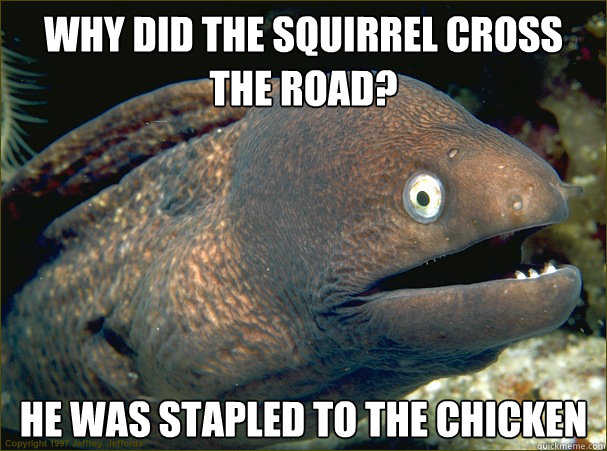 why did the squirrel cross the road? he was stapled to the chicken  Bad Joke Eel