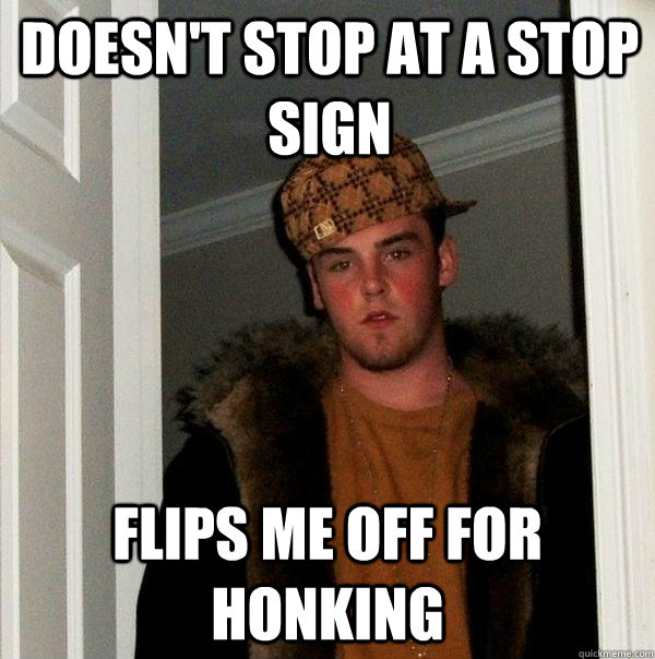 Doesn't stop at a stop sign Flips me off for honking  Scumbag Steve