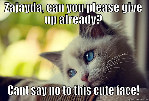 cute ktity - ZAJAYDA, CAN YOU PLEASE GIVE UP ALREADY? CANT SAY NO TO THIS CUTE FACE! First World Problems Cat