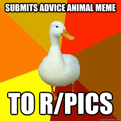 submits advice animal meme to r/pics - submits advice animal meme to r/pics  Tech Impaired Duck