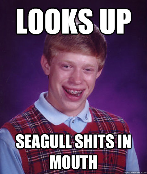 Looks up seagull shits in mouth  Bad Luck Brian