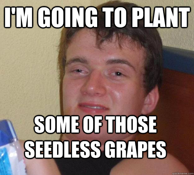 I'm going to plant some of those seedless grapes  10 Guy