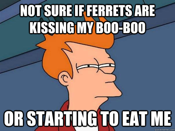 Not sure if ferrets are kissing my boo-boo Or starting to eat me  Futurama Fry