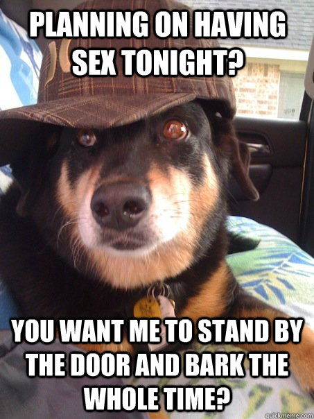 Planning on having sex tonight? You want me to stand by the door and bark the whole time?  Scumbag dog