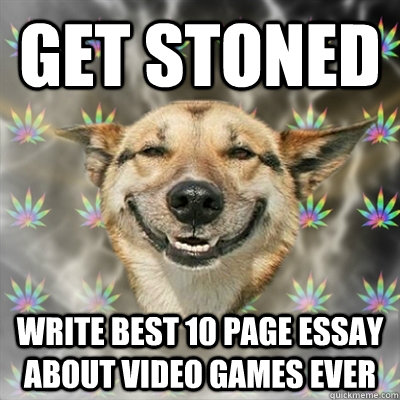 get stoned write best 10 page essay about video games ever  Stoner Dog