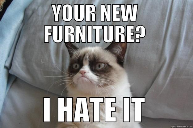 YOUR NEW FURNITURE? I HATE IT Grumpy Cat