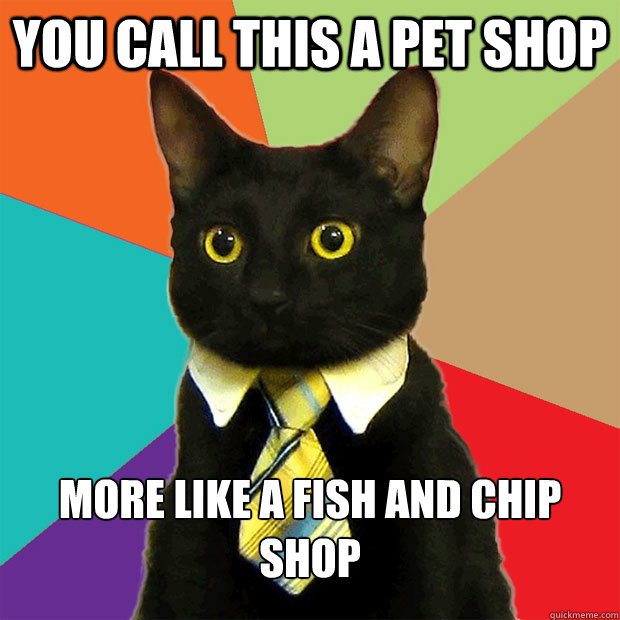 you call this a pet shop more like a fish and chip shop  Business Cat