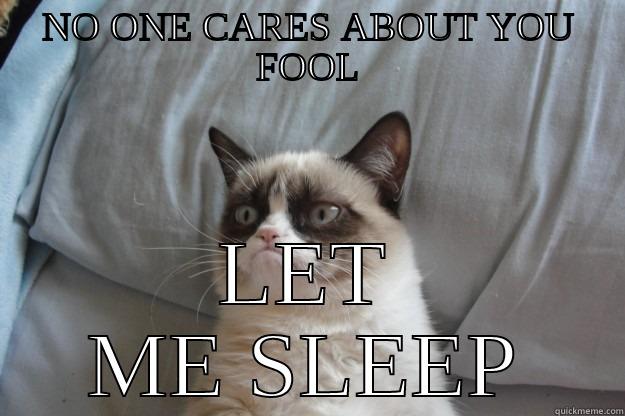 NO ONE CARES ABOUT YOU FOOL LET ME SLEEP Grumpy Cat