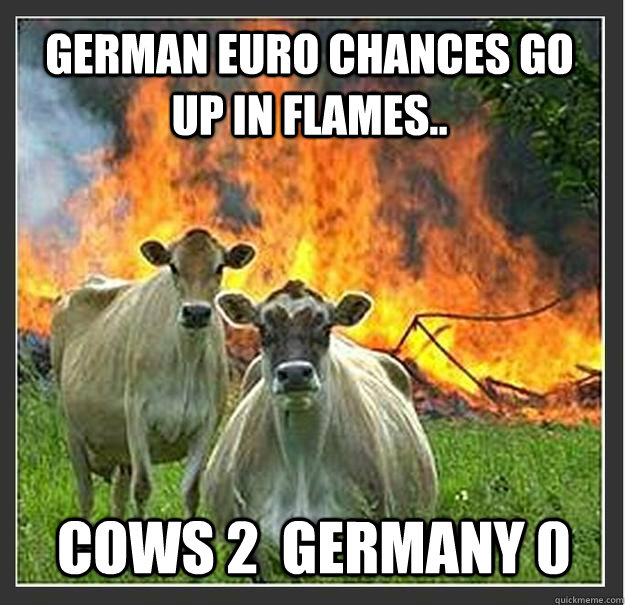 German EURO Chances go up in flames.. Cows 2  Germany 0   Evil cows