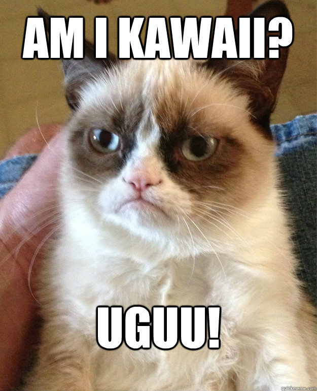 Am I kawaii? uguu! - Am I kawaii? uguu!  Misc