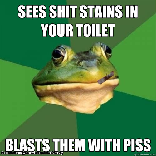 sees shit stains in your toilet blasts them with piss  