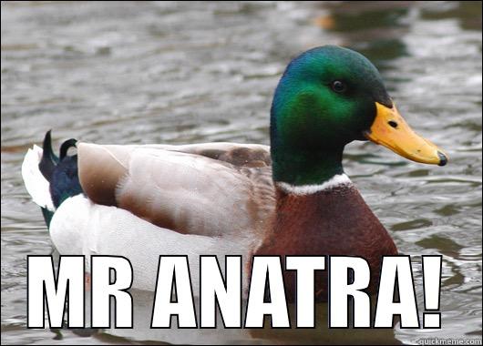  MR ANATRA! Actual Advice Mallard