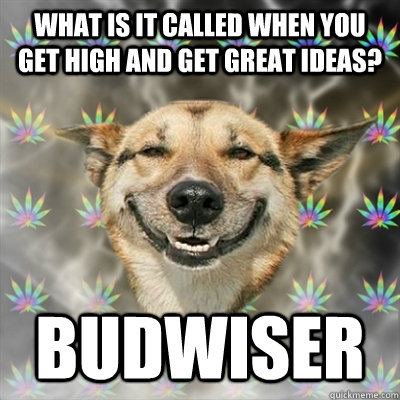 What is it called when you get high and get great ideas? Budwiser  Stoner Dog