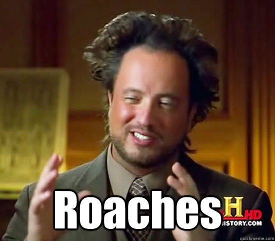 Roaches - Roaches  Ancient Aliens