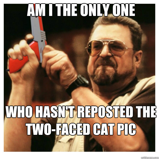 AM i the only one Who hasn't reposted the two-faced cat pic - AM i the only one Who hasn't reposted the two-faced cat pic  John Goodman