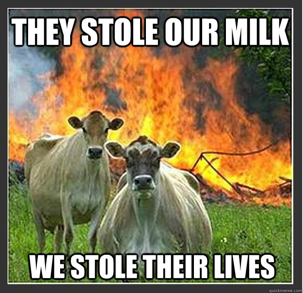 They stole our milk we stole their lives  Evil cows