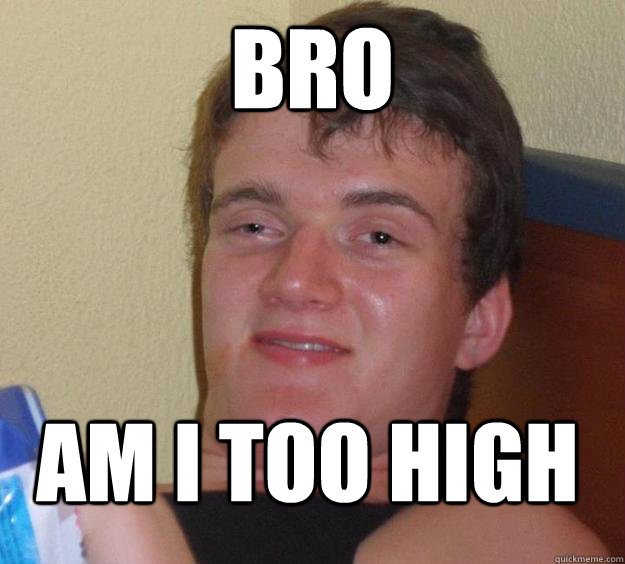 BRO AM I TOO HIGH - BRO AM I TOO HIGH  10 Guy