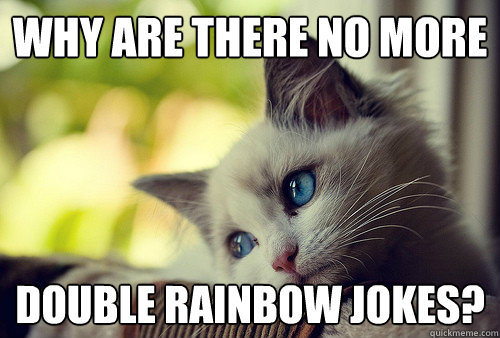 why are there no more double rainbow jokes?  First World Problems Cat