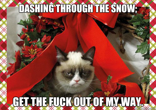 Dashing through the snow; get the fuck out of my way.   A Grumpy Cat Christmas