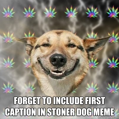  Forget to include first caption in Stoner Dog meme  Stoner Dog