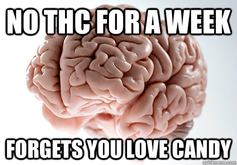 NO THC FOR A WEEK FORGETS YOU LOVE CANDY  Scumbag Brain