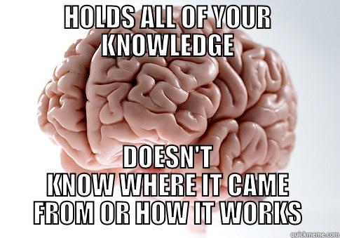 HOLDS ALL OF YOUR KNOWLEDGE DOESN'T KNOW WHERE IT CAME FROM OR HOW IT WORKS Scumbag Brain