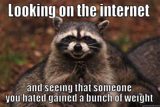 LOOKING ON THE INTERNET AND SEEING THAT SOMEONE YOU HATED GAINED A BUNCH OF WEIGHT Evil Plotting Raccoon