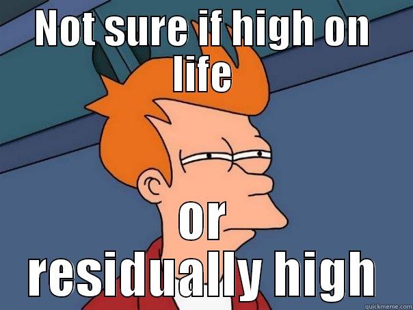 NOT SURE IF HIGH ON LIFE OR RESIDUALLY HIGH Futurama Fry